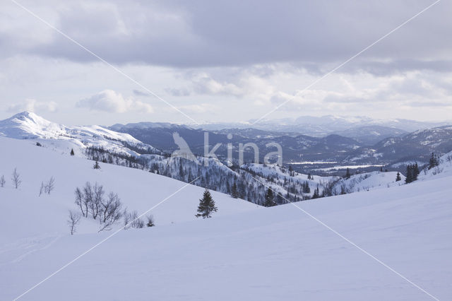 Hardangervidda National Park