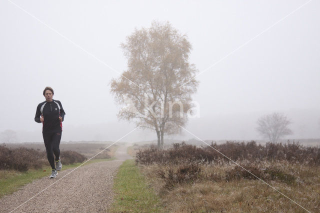 Hoorneboegse Heide