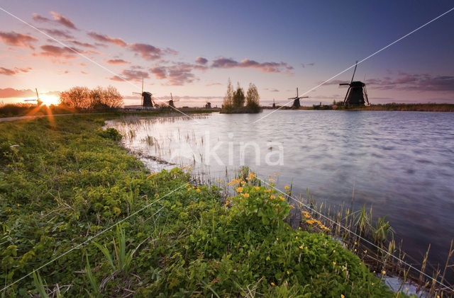 Kinderdijk