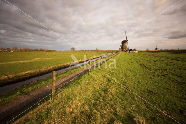 Kinderdijk