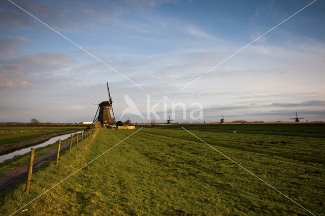 Kinderdijk