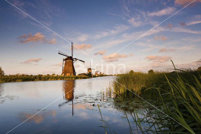 Kinderdijk