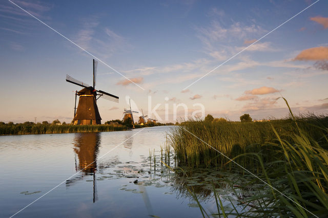 Kinderdijk