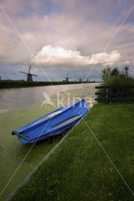 Kinderdijk