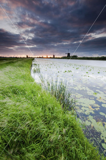 Kinderdijk