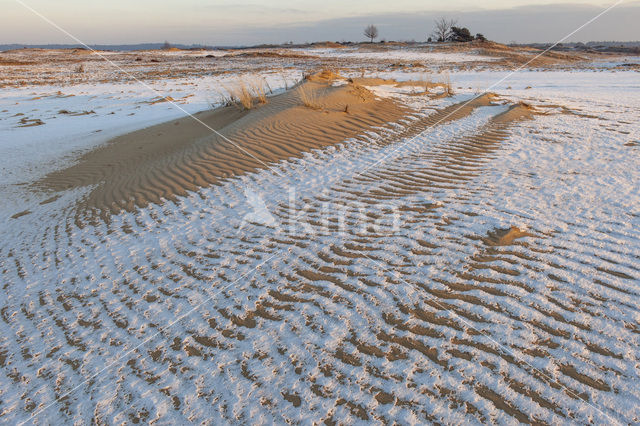 Kootwijkerzand