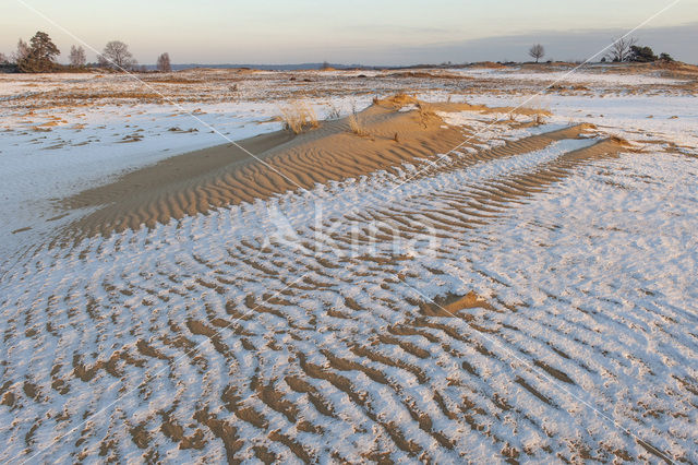 Kootwijkerzand