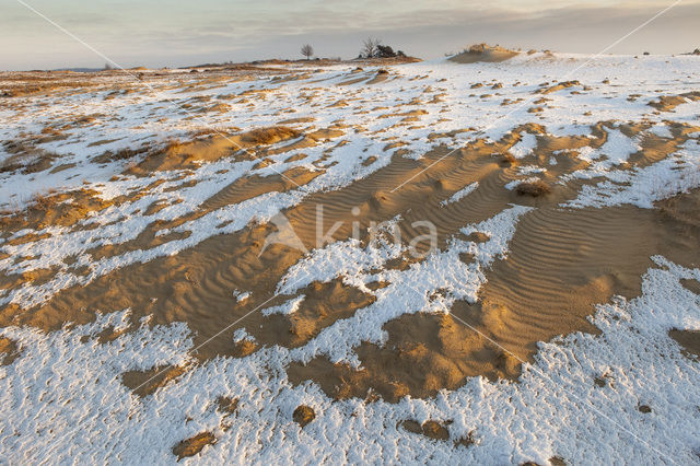 Kootwijkerzand