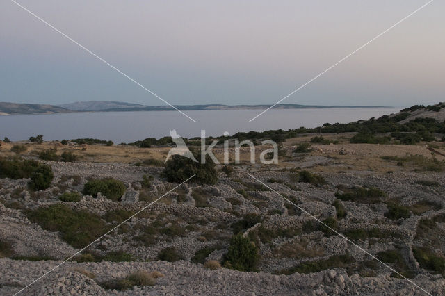 Kroatië