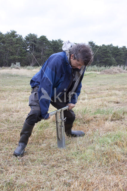 Middelduinen