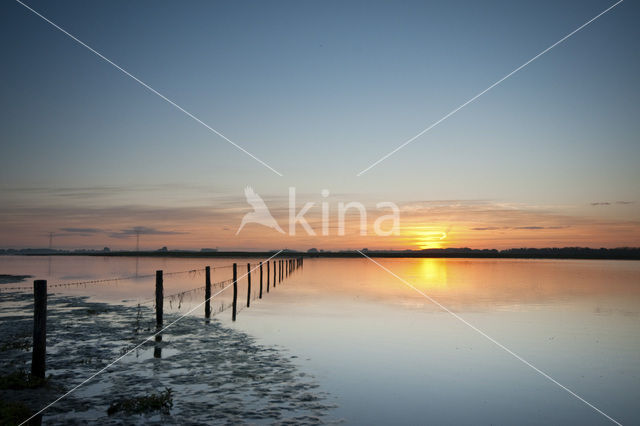 Nationaal Park de Biesbosch