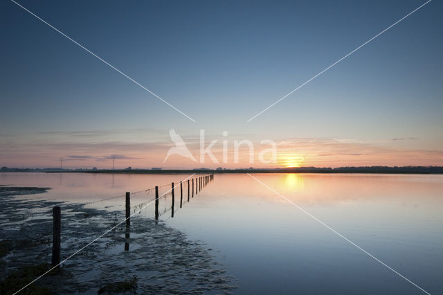 Nationaal Park de Biesbosch