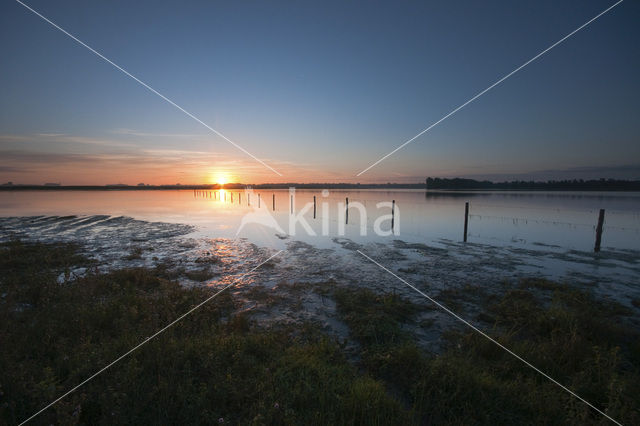 Nationaal Park de Biesbosch