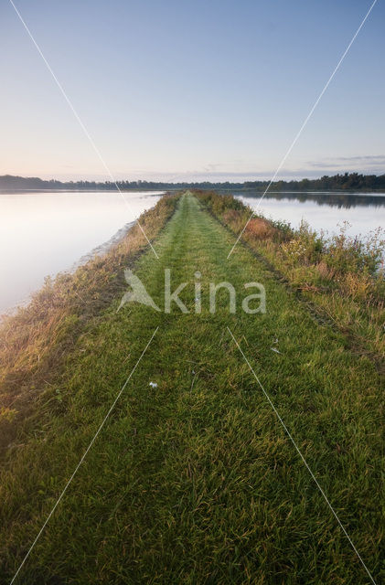 National Park de Biesbosch