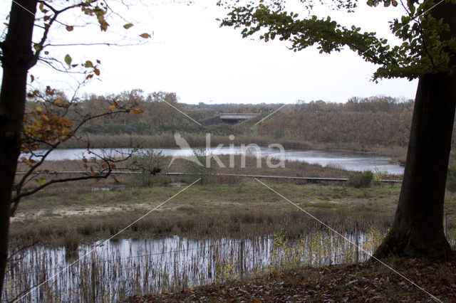 Natuurbrug Zanderij Crailo