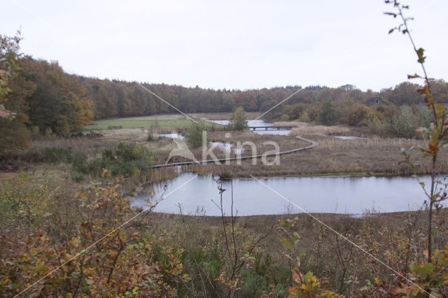 Natuurbrug Zanderij Crailo