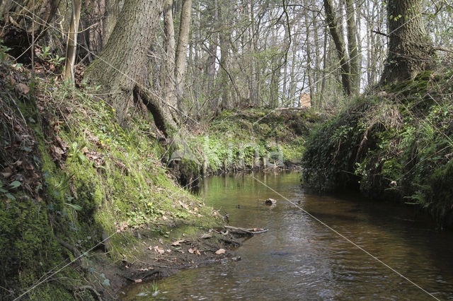 Poortbultenbeek