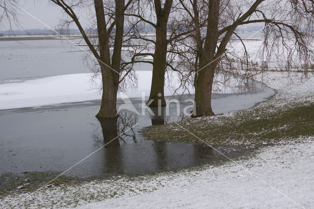 Rijswijkse waard