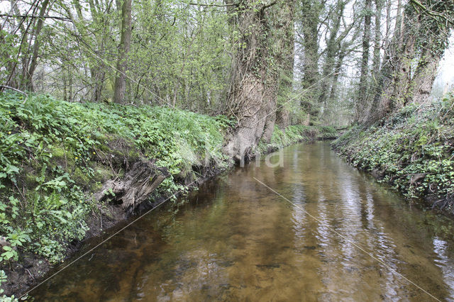 Snoeyinksbeekdal