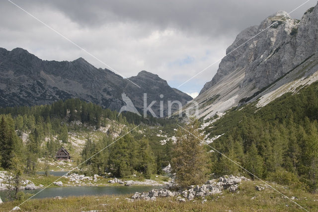 Triglav Nationaal Park