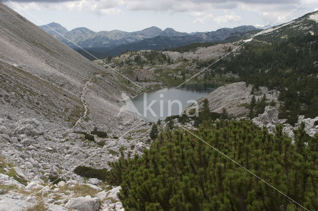 Triglav Nationaal Park