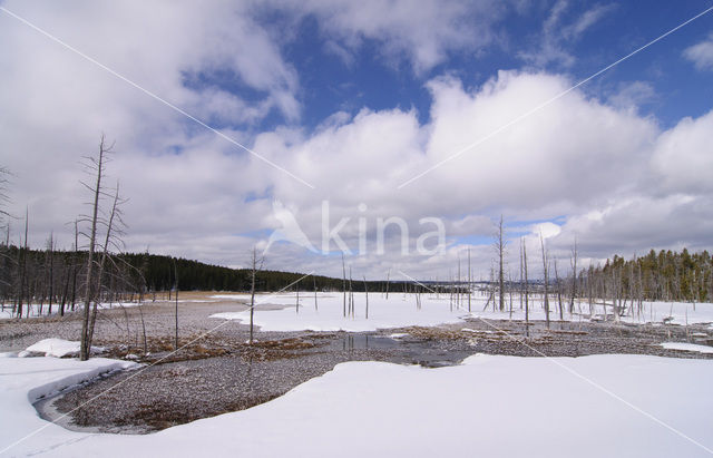 Yellowstone national park