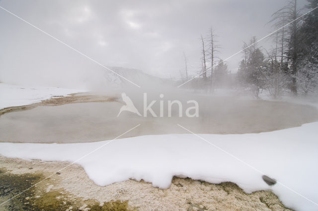 Yellowstone national park