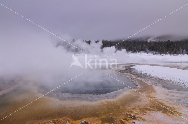 Yellowstone national park