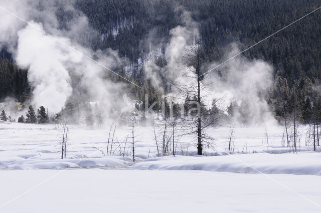 Yellowstone national park