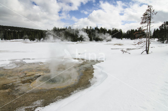 Yellowstone national park