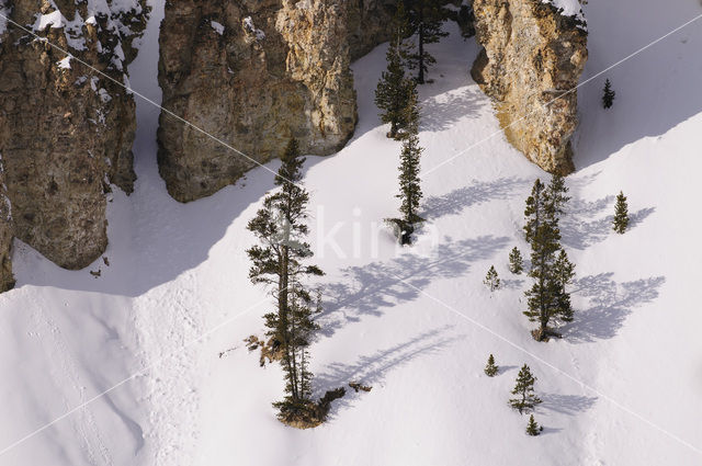 Yellowstone National Park