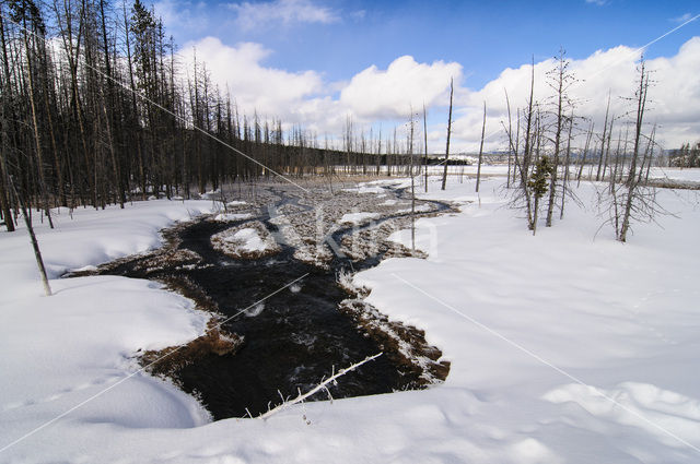 Yellowstone national park