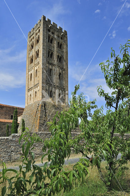 Abbaye Saint-Michel de Cuxa