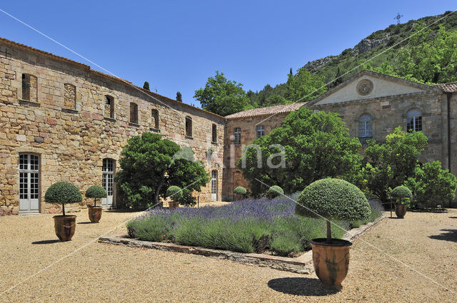 Abbaye Sainte-Marie de Fontfroide