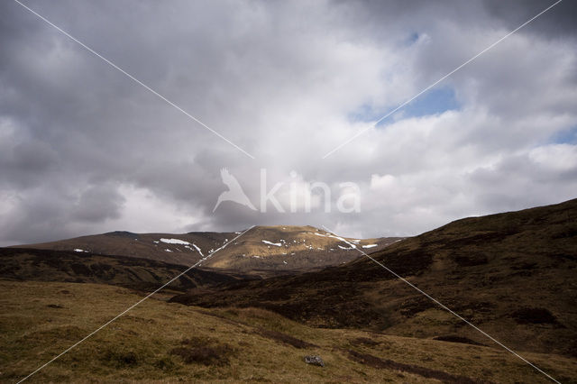 Ben Lawers