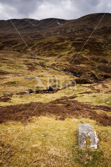 Ben Lawers