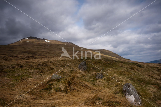 Ben Lawers