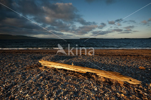 Fortrose