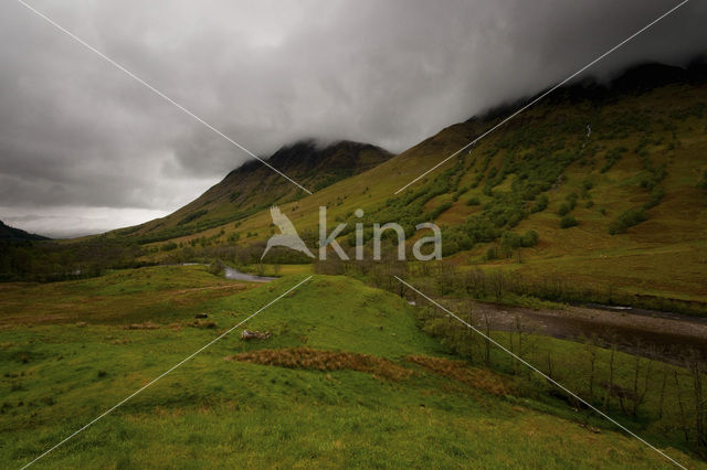 Glen Nevis