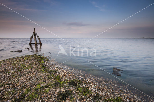 Grevelingenmeer