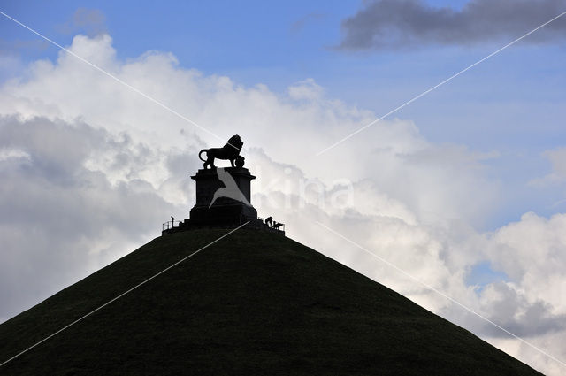 Butte du Lion