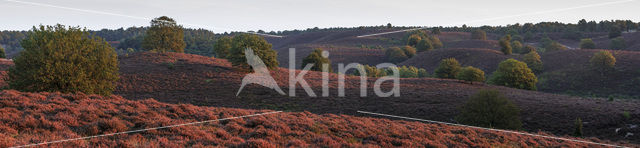 Nationaal Park Veluwezoom