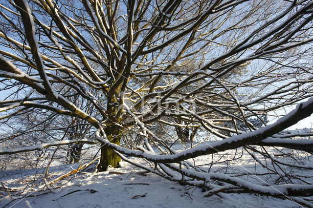 Nationaal Park Veluwezoom