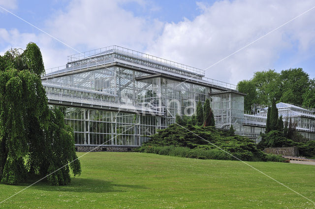 Nationale Plantentuin van België