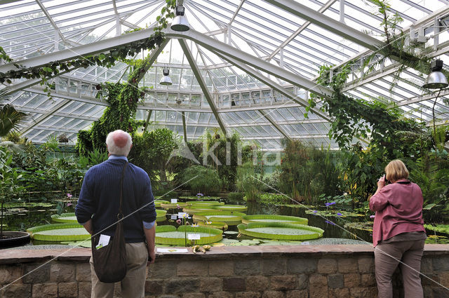 Nationale Plantentuin van België