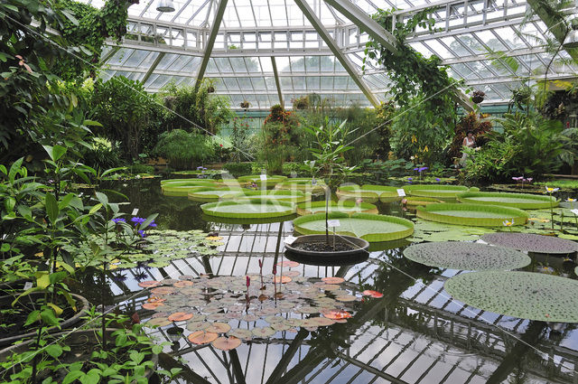 Nationale Plantentuin van België