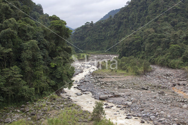 Parque nacional Braulio Carillo