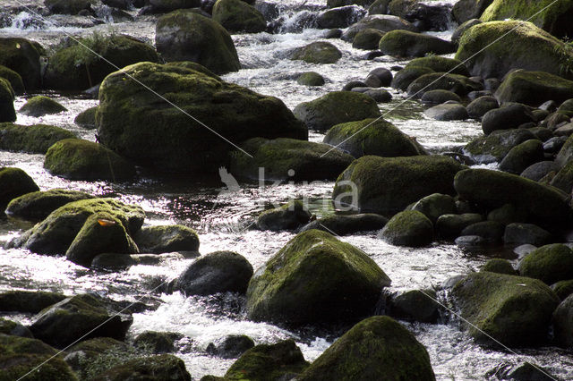 Parque nacional Braulio Carillo