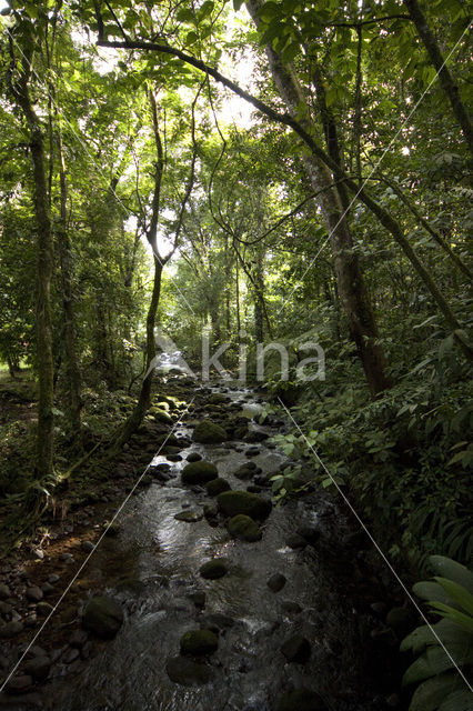 Parque nacional Braulio Carillo