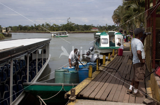 Parque nacional Tortuguero